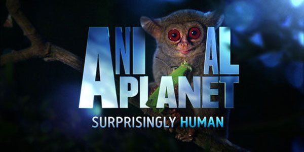 Animal Planet