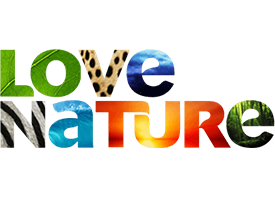 Love Nature Yayın Akışı