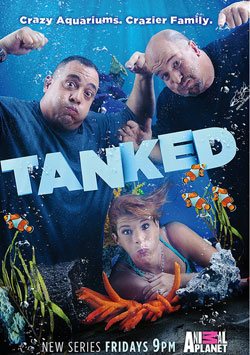 Özel Akvaryumlar (Tanked)